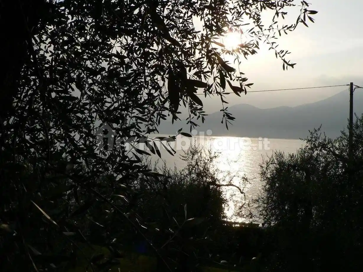 Appartamento in affitto a Torri del Benaco