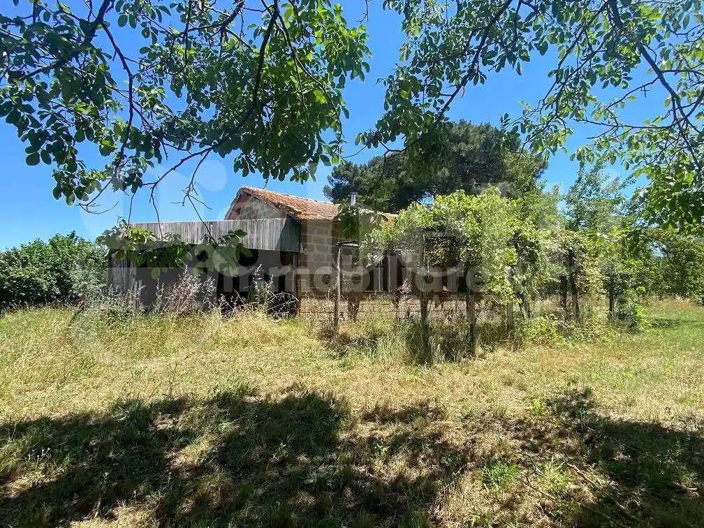 Rustico - Casale in vendita a Manziana