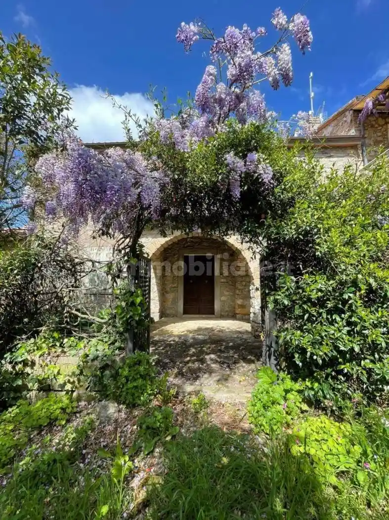 Rustico - Casale in vendita a Manciano