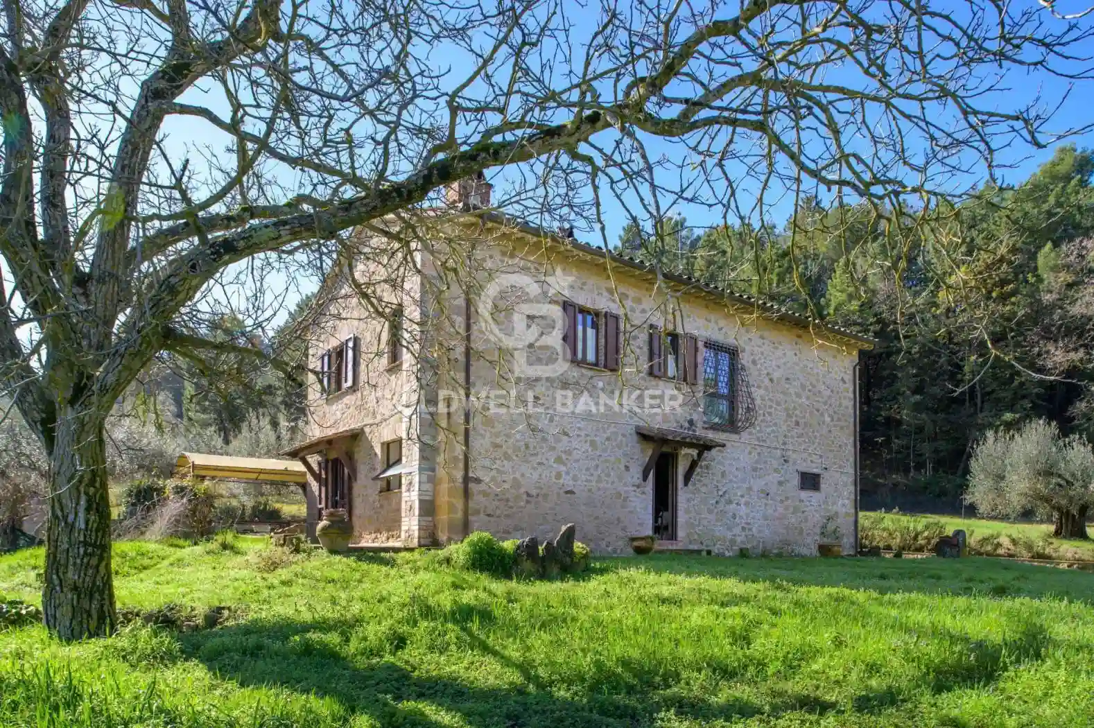 Rustico - Casale - foto 4