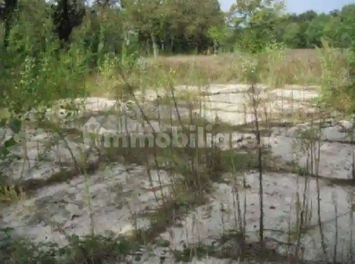 Palazzo - Stabile - foto 3