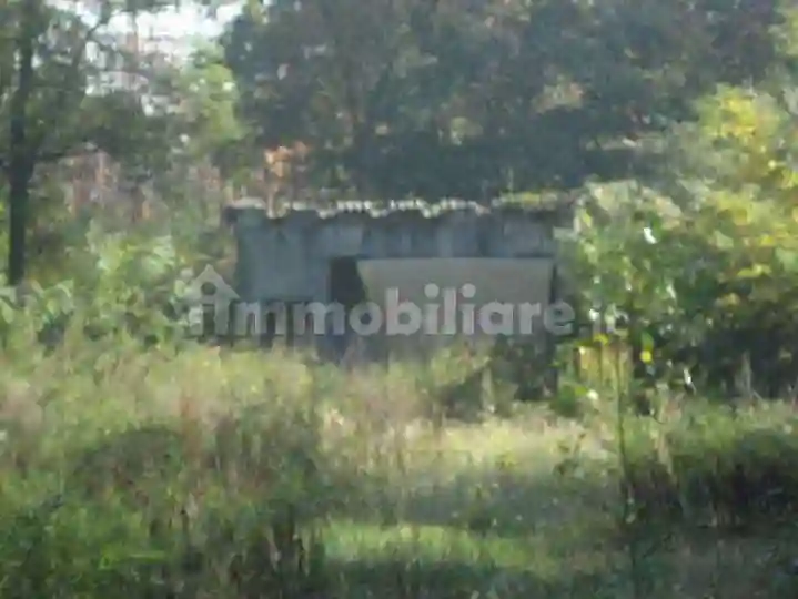 Palazzo - Stabile - foto 4