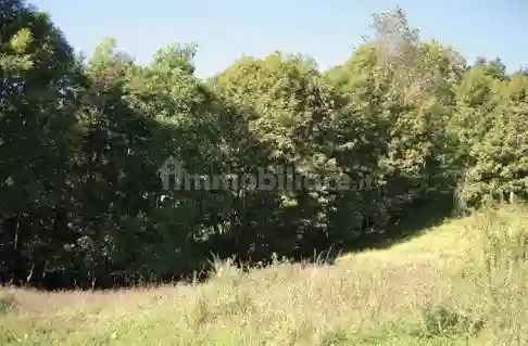 Palazzo - Stabile - foto 3