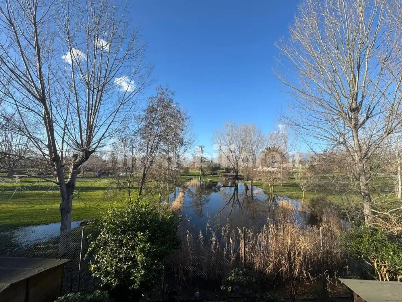 Appartamento in vendita a Viareggio