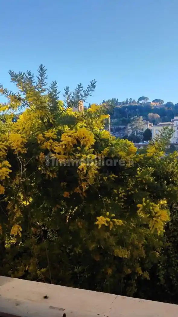 Appartamento in affitto a Firenze