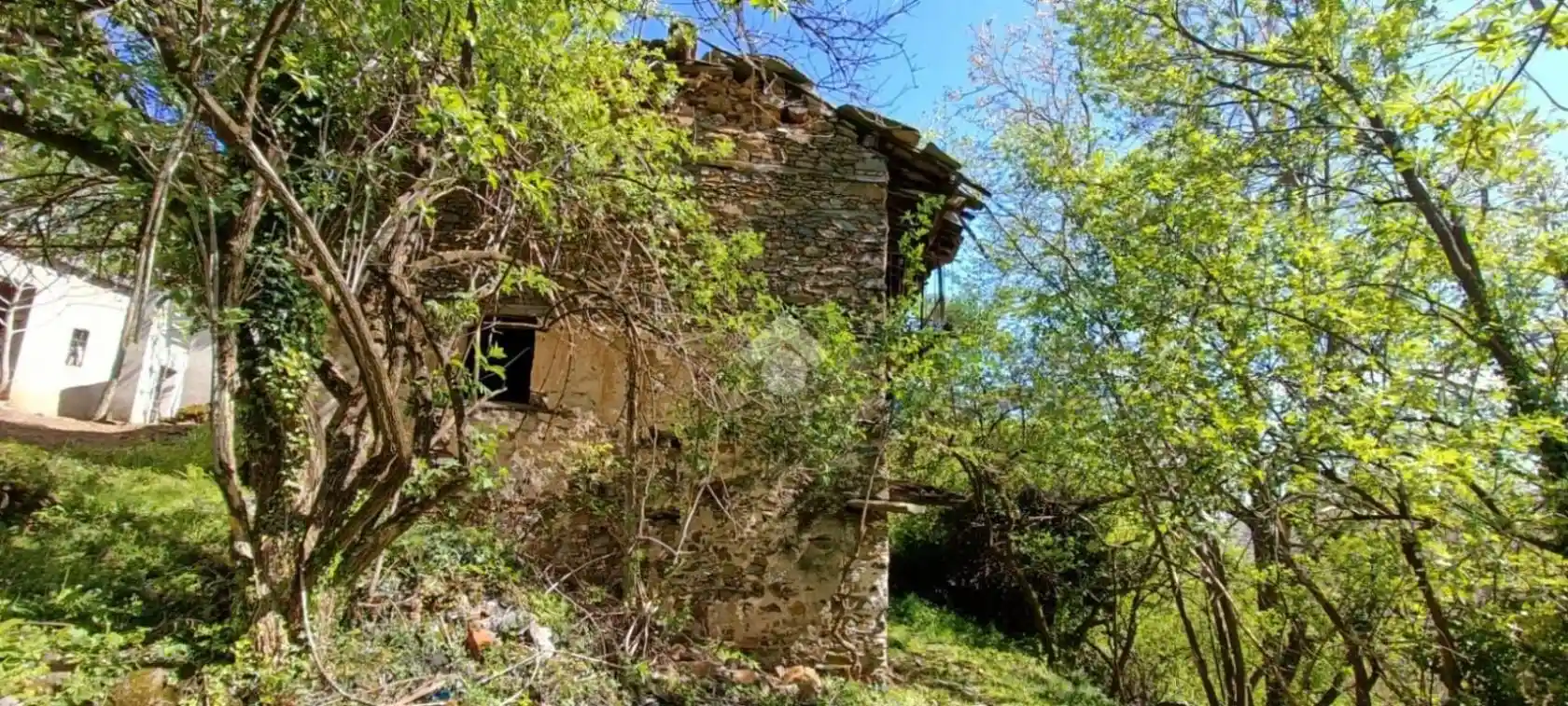 Rustico - Casale in vendita a Coassolo Torinese