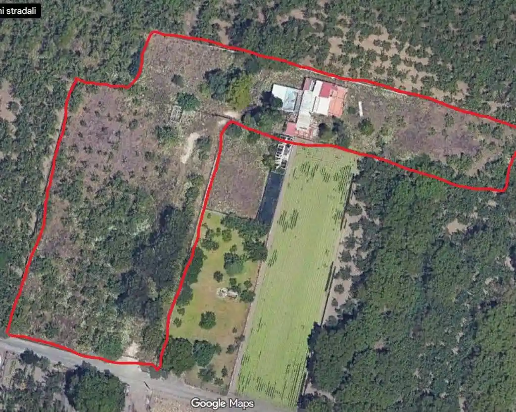 Appartamento in vendita a Palma Campania