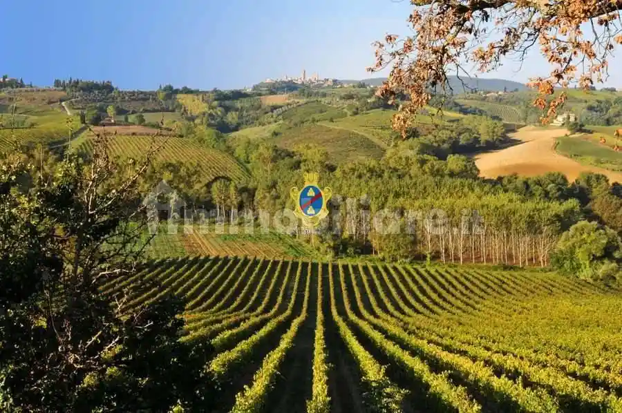 Villa in vendita a San Gimignano