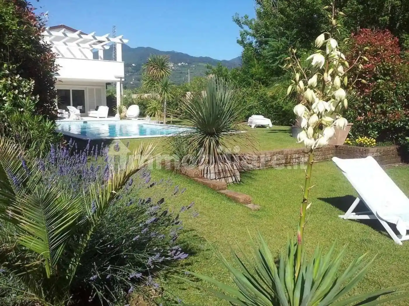 Villa in affitto a Forte dei Marmi