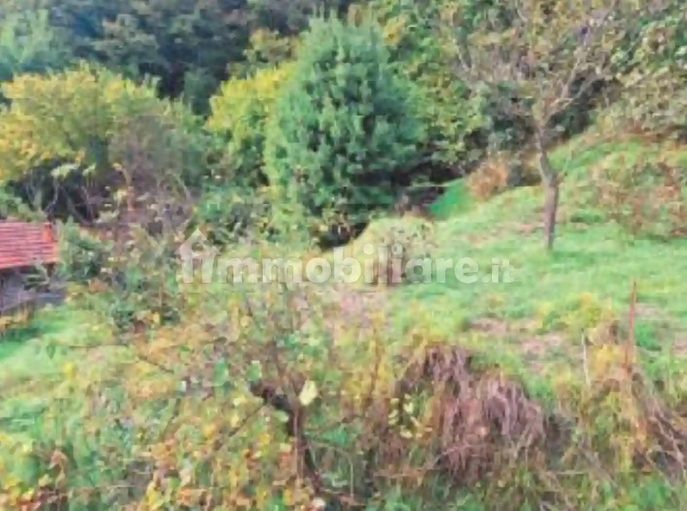 Palazzo - Stabile - foto 4