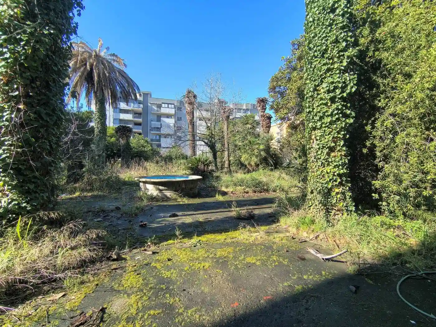 Palazzo - Edificio - foto 5