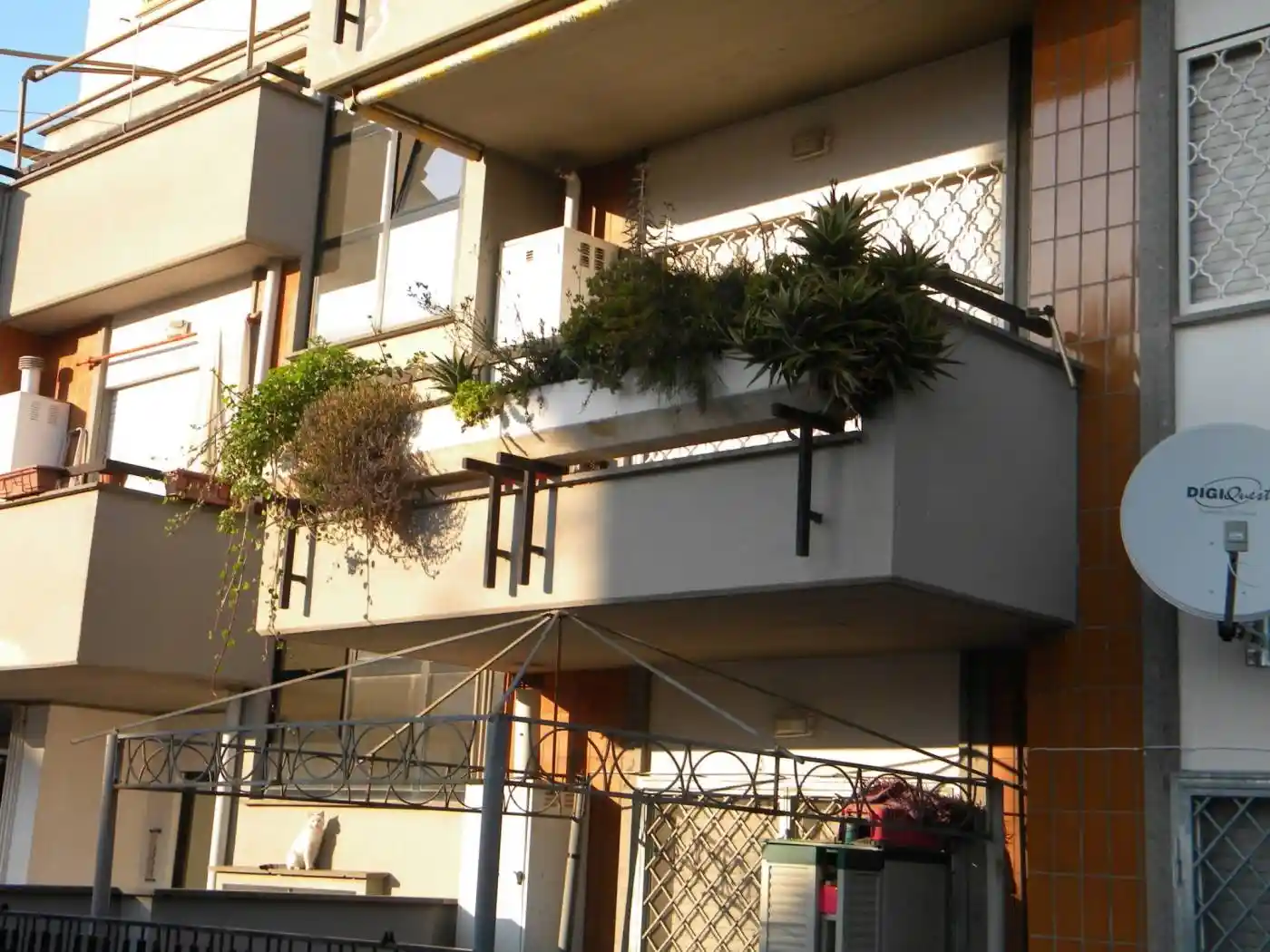 Appartamento in affitto a Nettuno