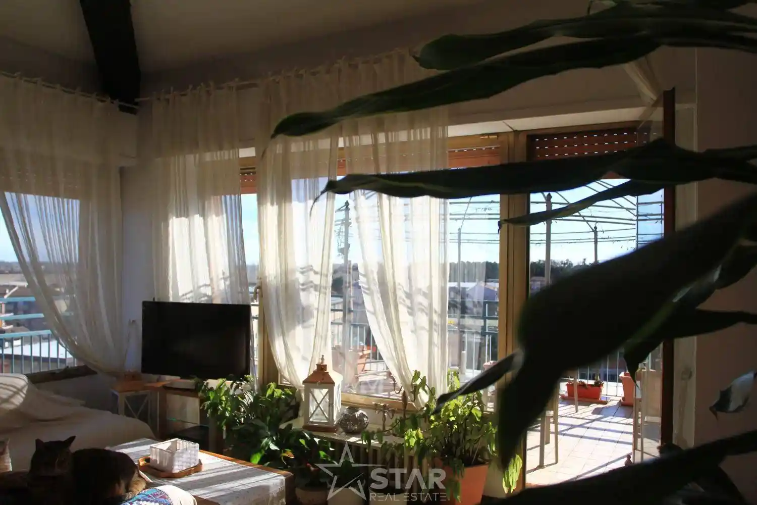 Appartamento in vendita a Novara