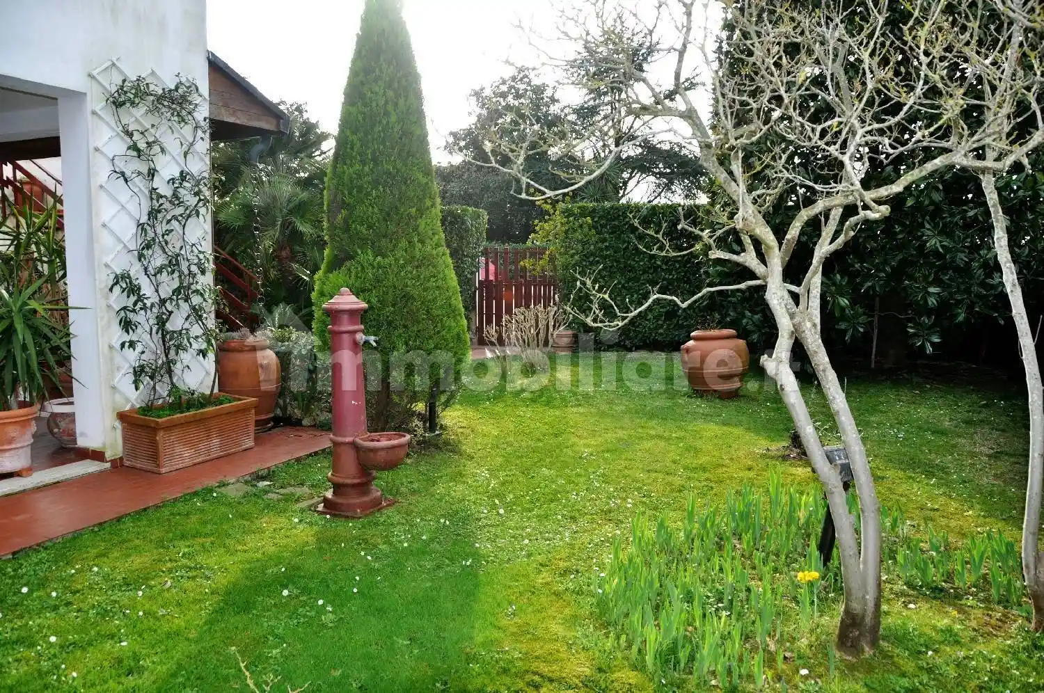 Villa in affitto a Pisa