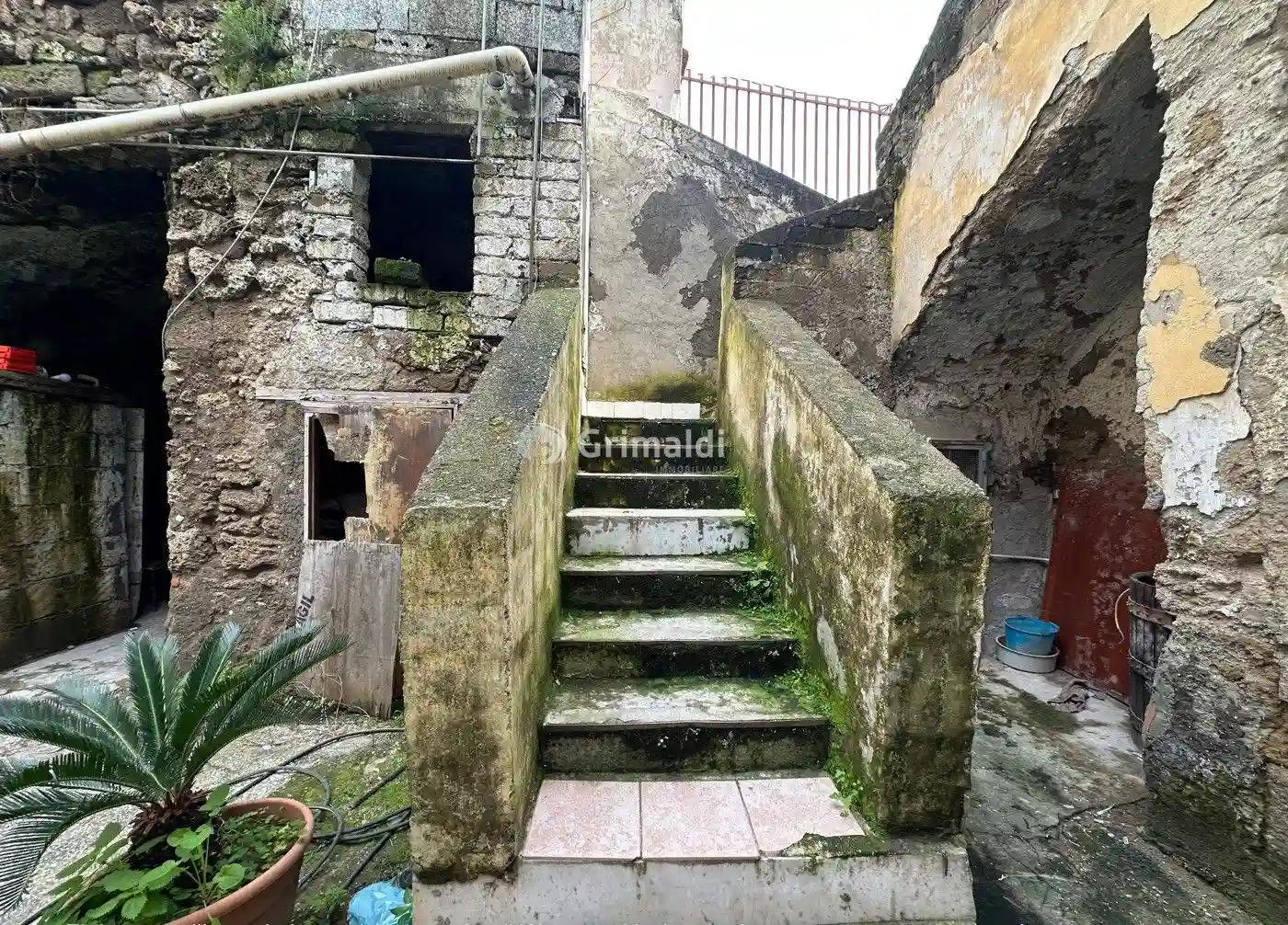 Palazzo - Edificio - foto 5