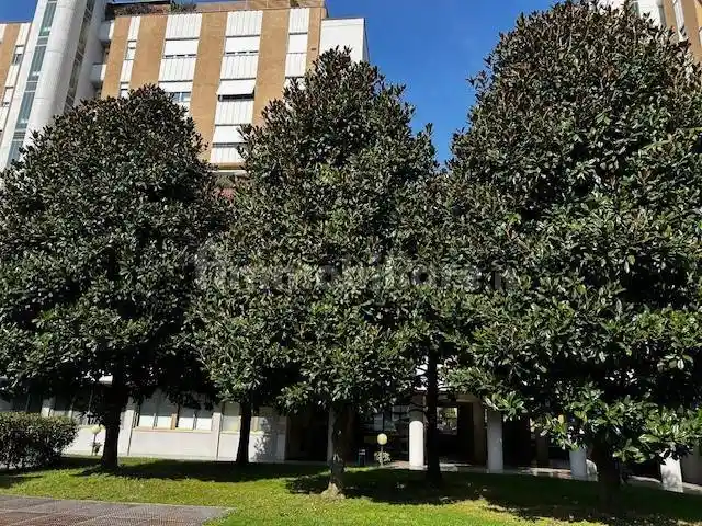 Appartamento in affitto a Legnano