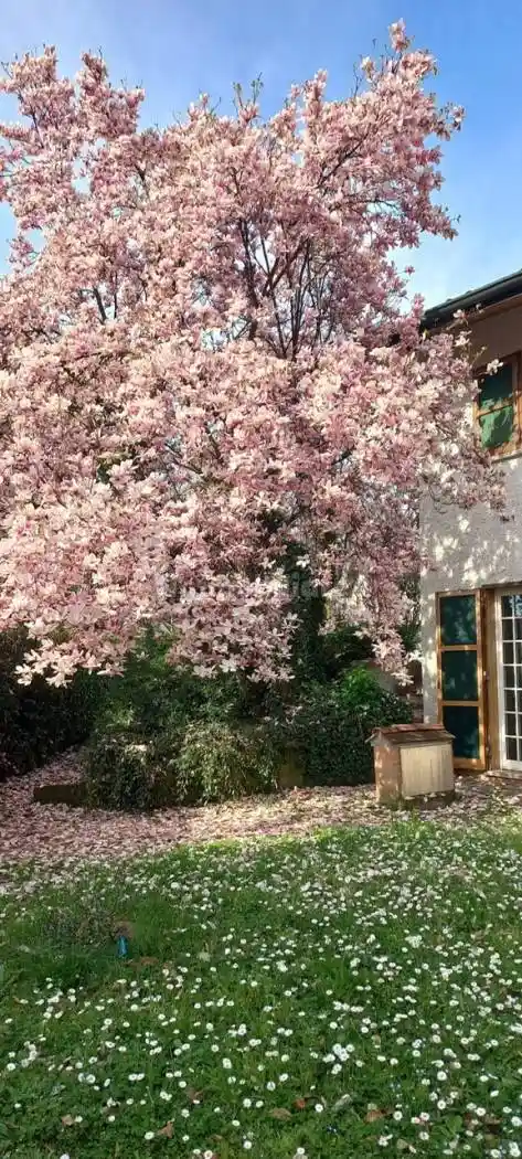 Villa in vendita a Cassina de' Pecchi