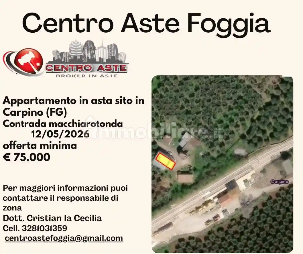 Appartamento in vendita a Carpino