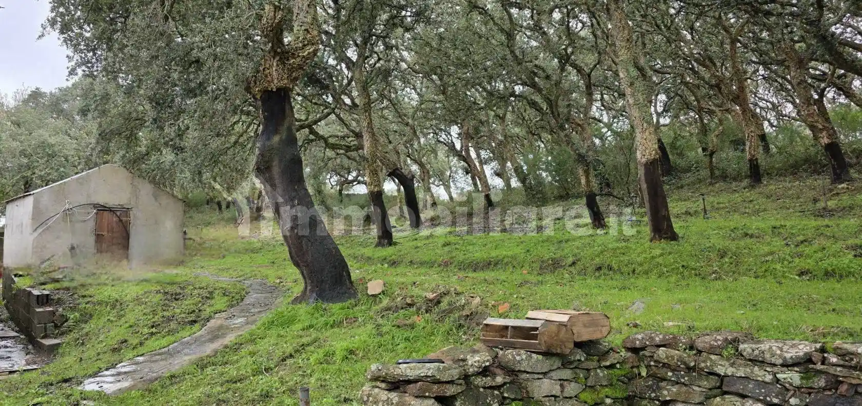 Rustico - Casale in vendita a Villanova Monteleone