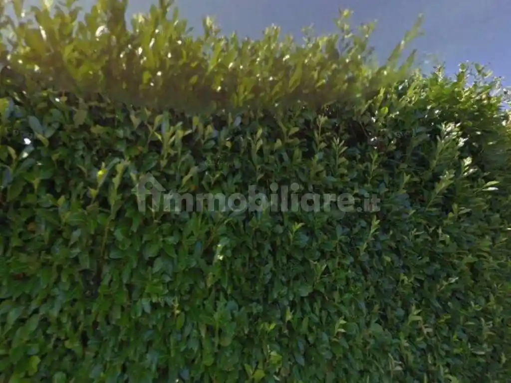 Villa in vendita a Palestrina