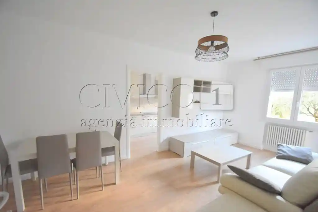 Appartamento in affitto a Longare