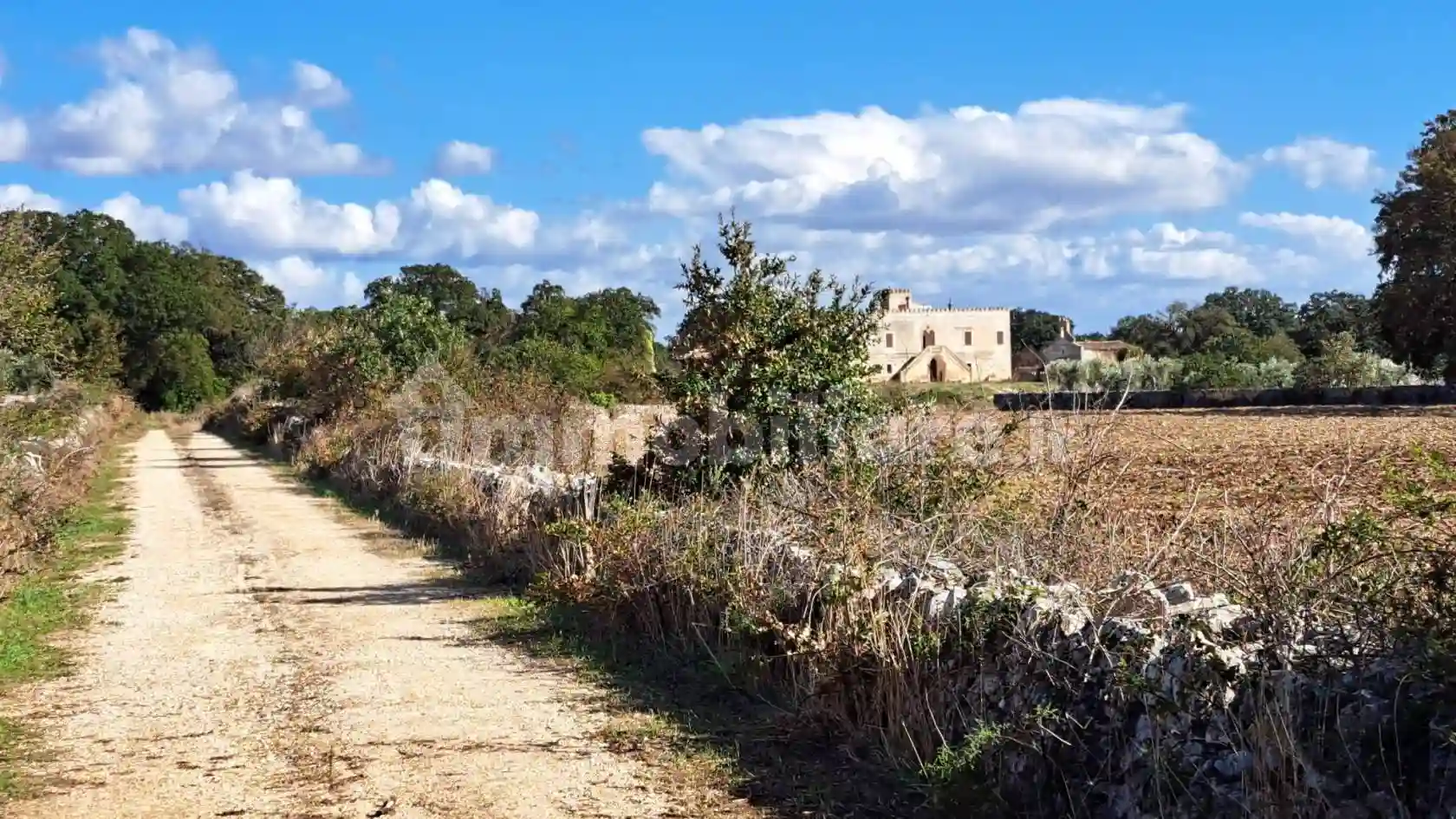 Palazzo - Edificio - foto 5