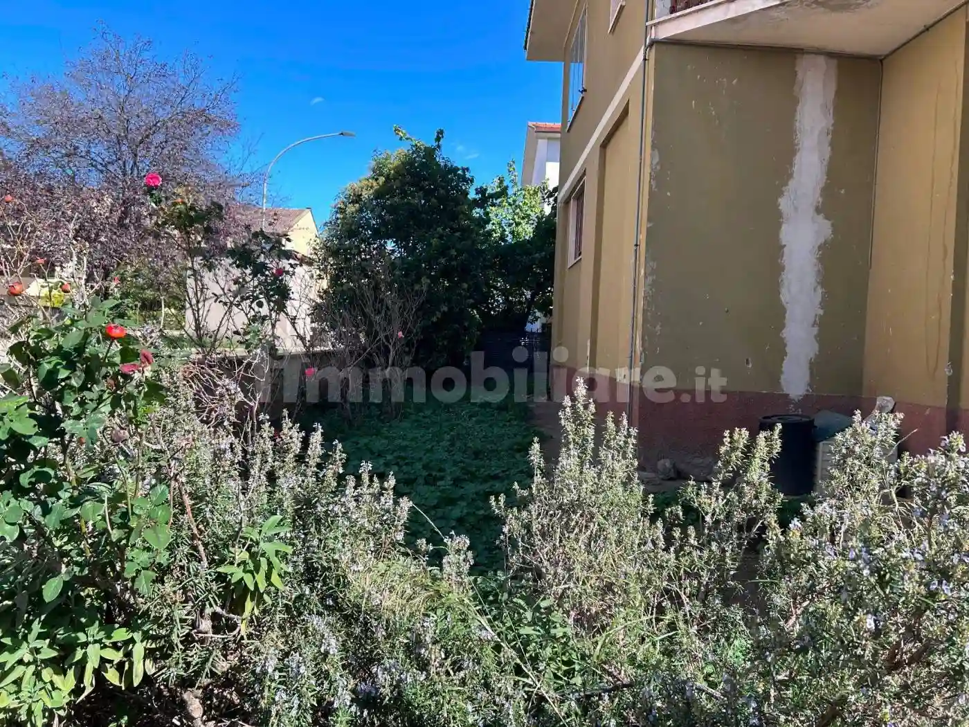 Palazzo - Edificio - foto 3