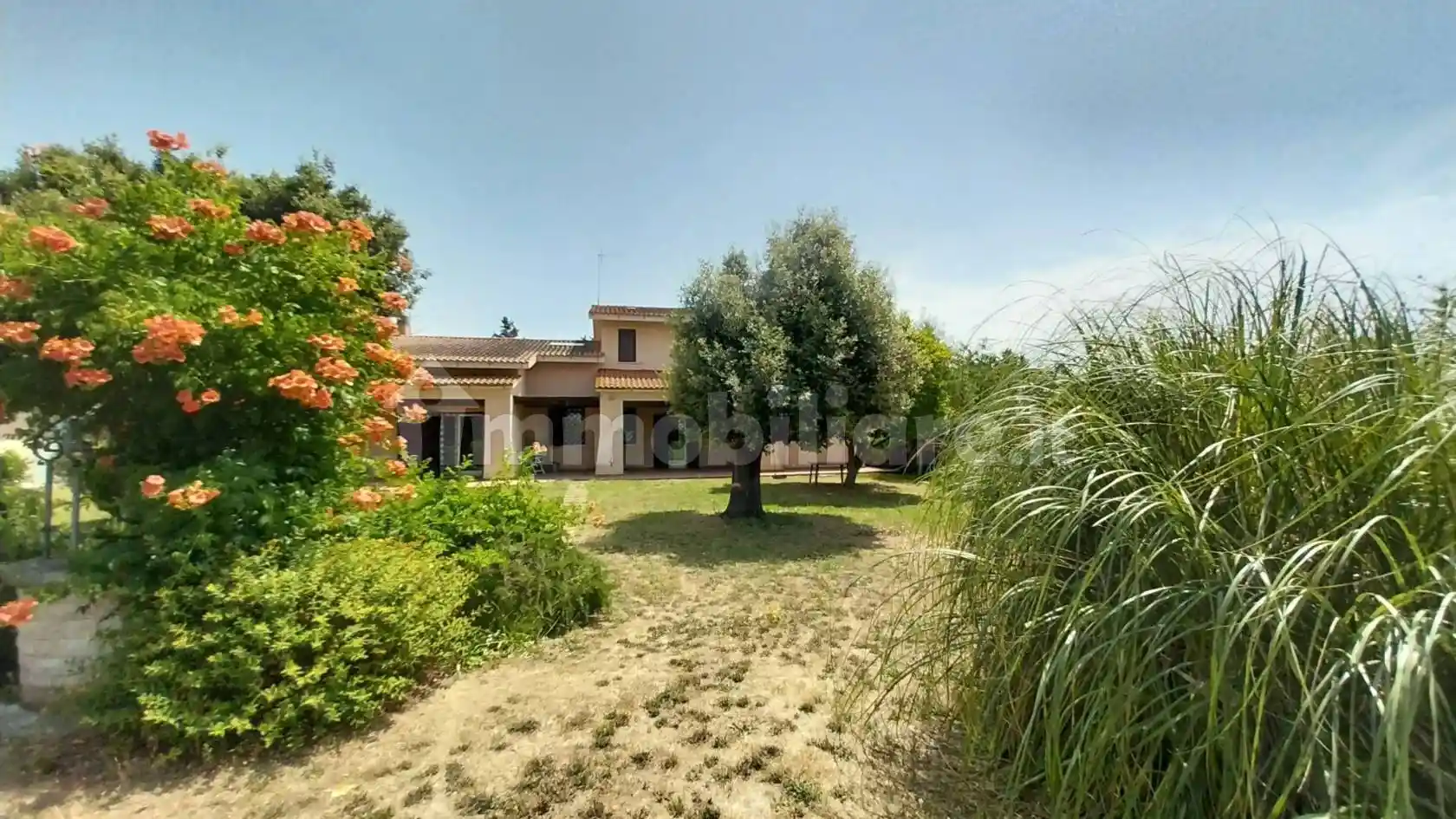 Rustico - Casale in vendita a Grosseto