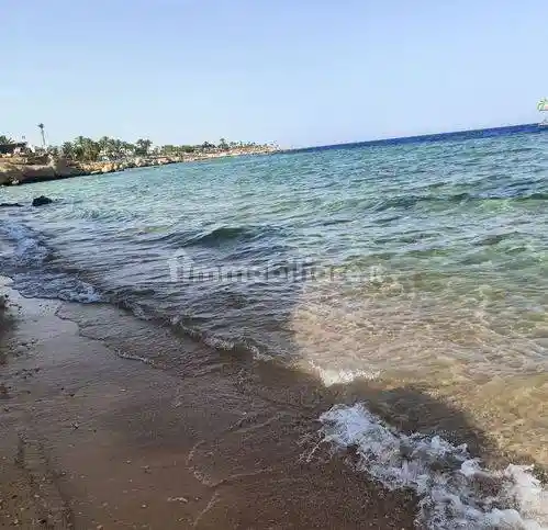 Palazzo - Edificio in vendita a Camaiore