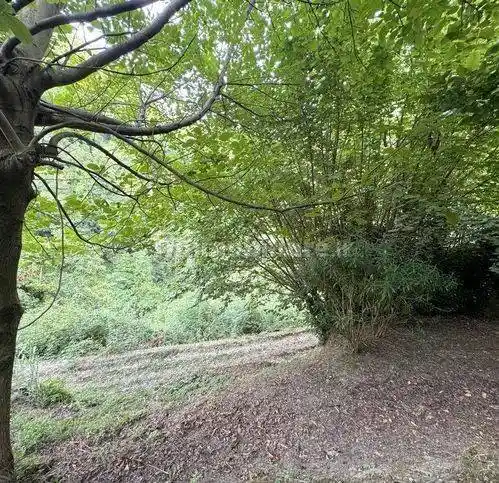 Villa in vendita a Camaiore