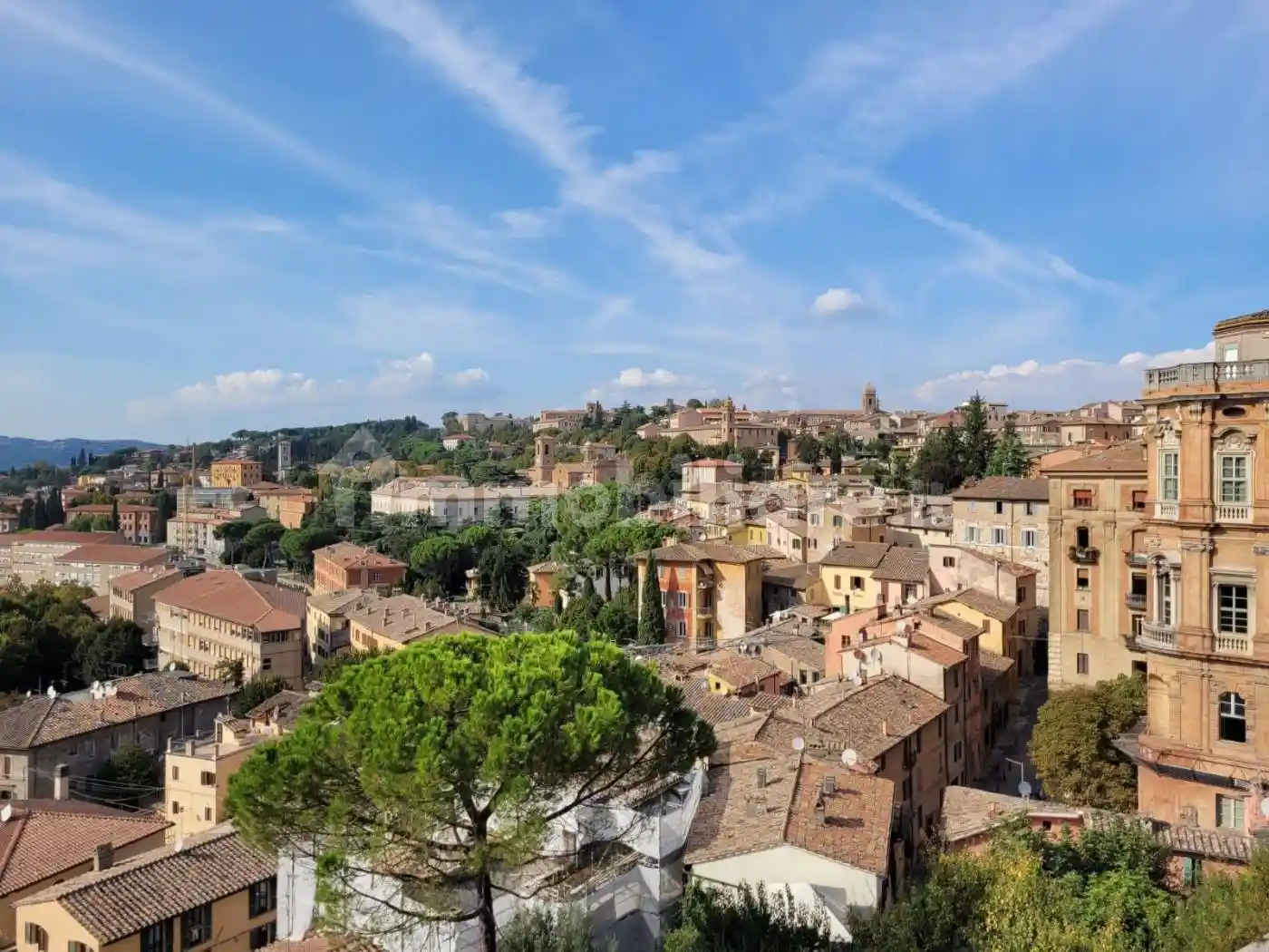 Appartamento in affitto a Perugia