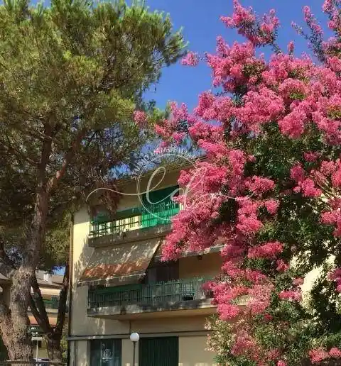 Appartamento in vendita a Massa