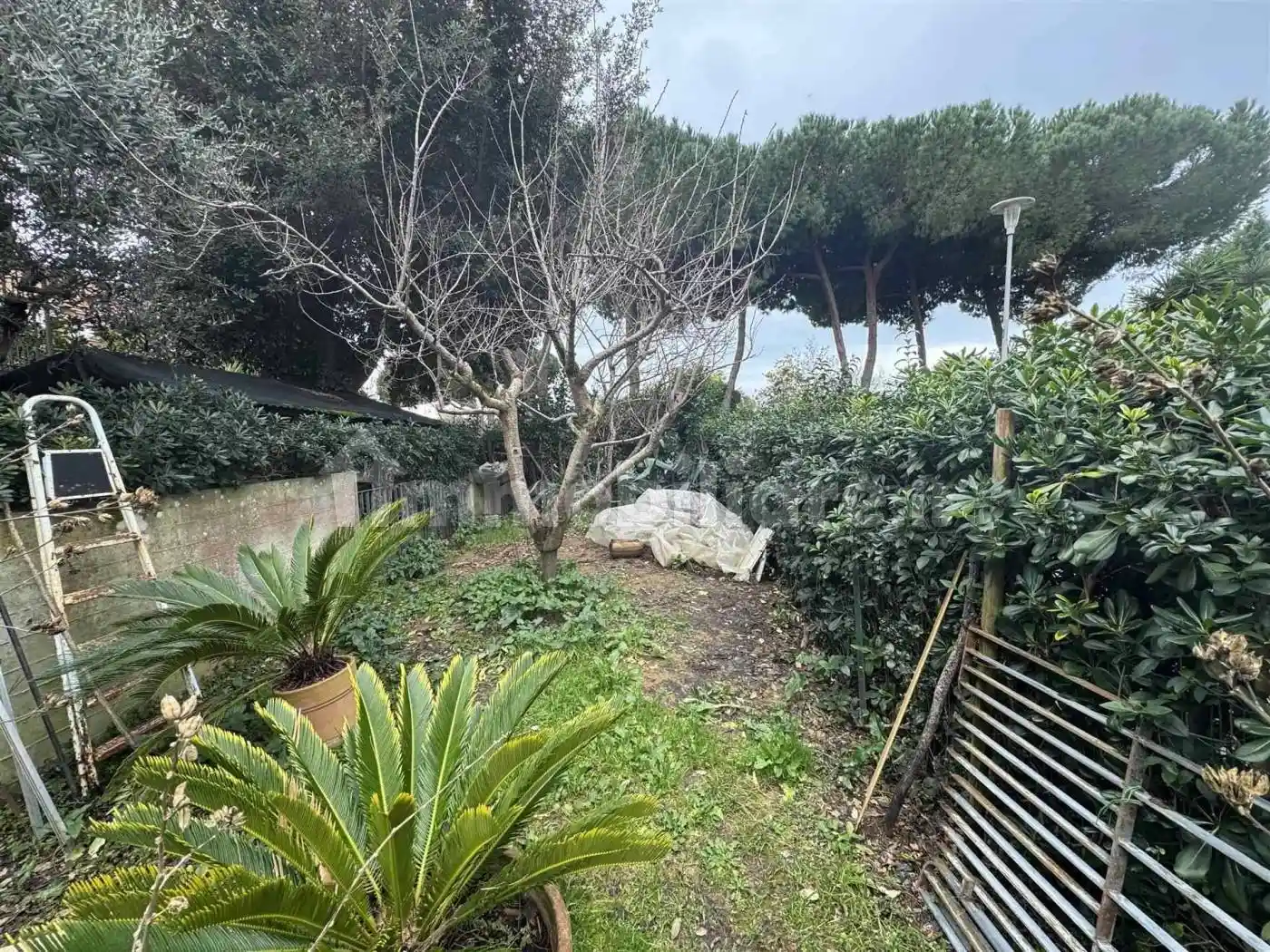 Appartamento in vendita a Follonica