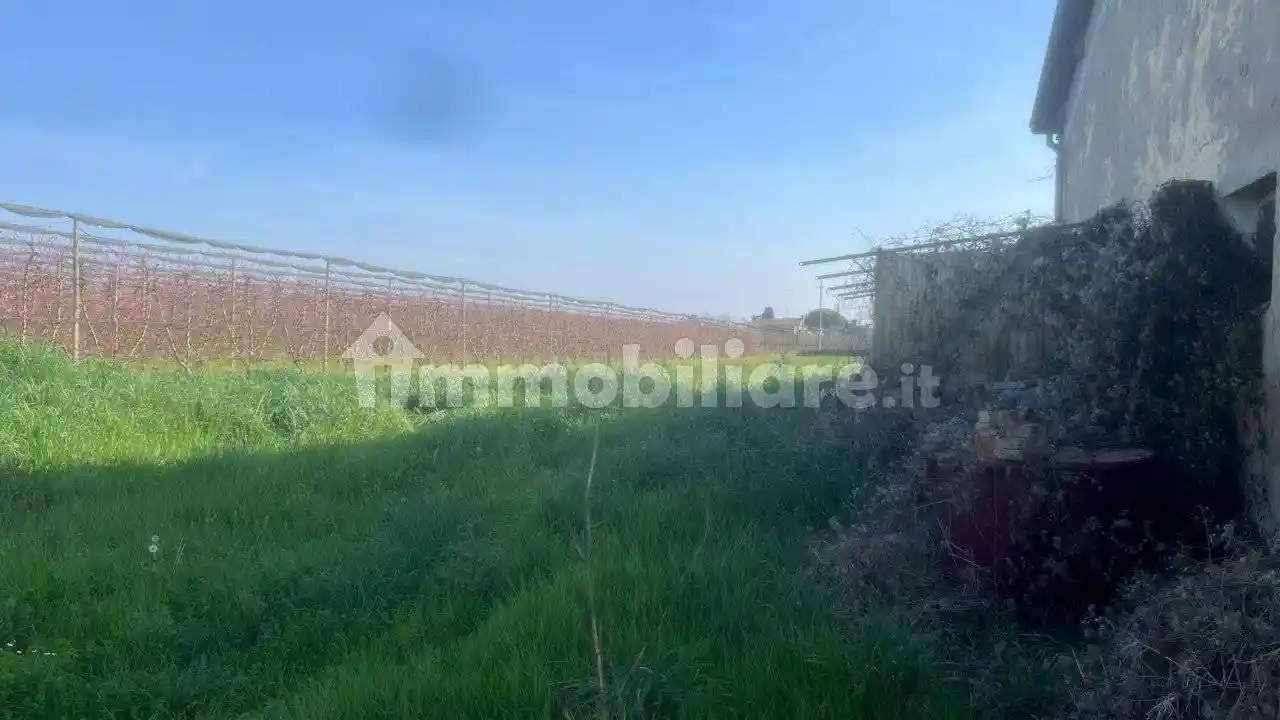 Casa indipendente in vendita a Cesena