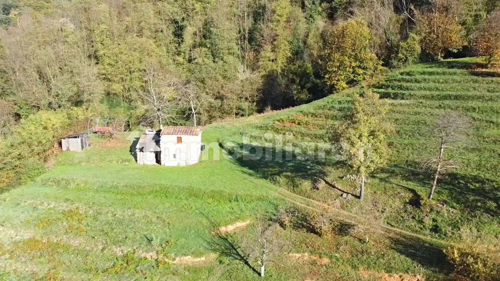 Rustico - Casale in vendita a Borgo a Mozzano