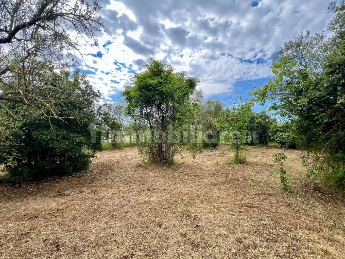 Rustico - Casale in vendita a Poli