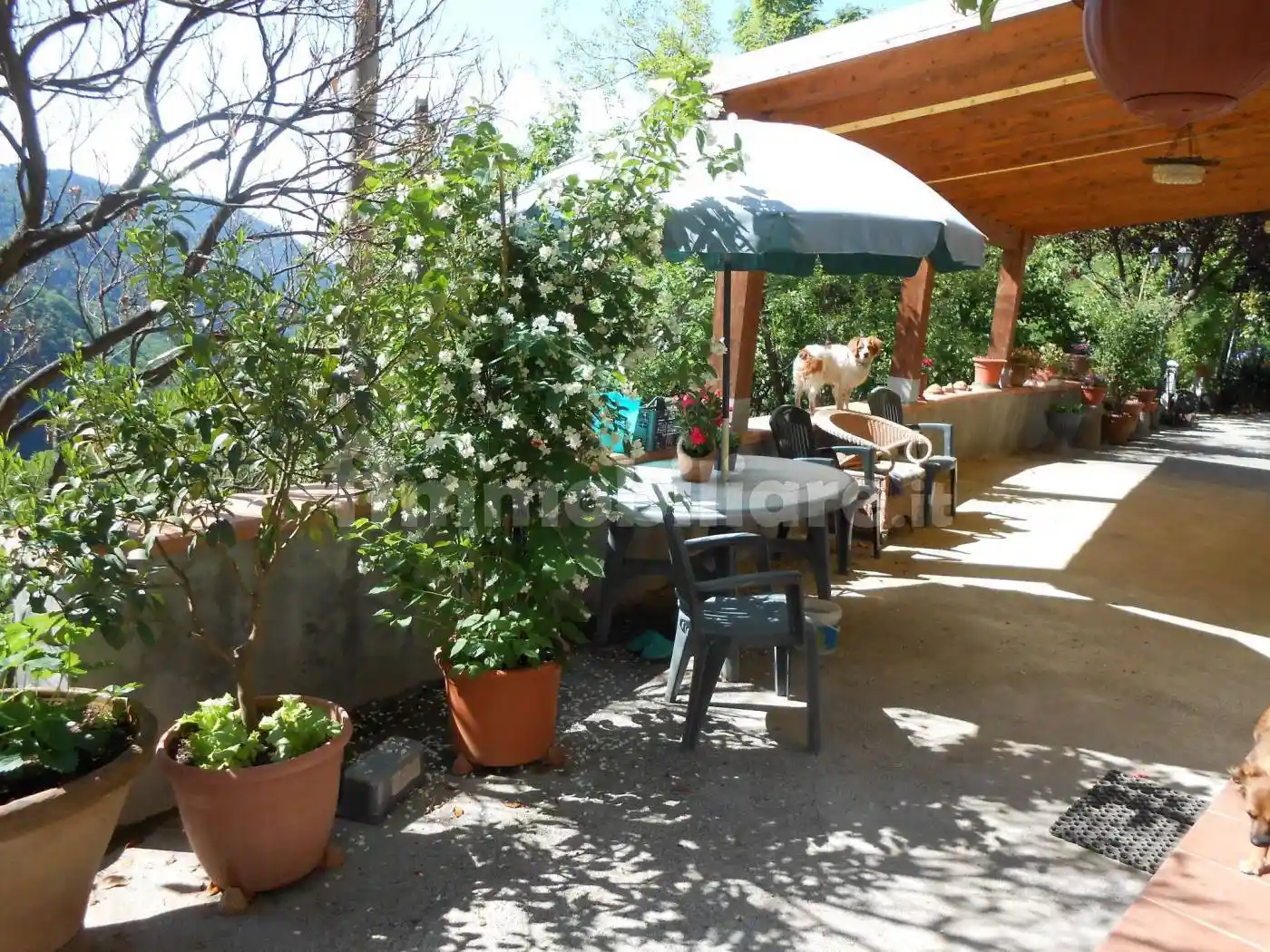 Rustico - Casale in vendita a Villa Basilica