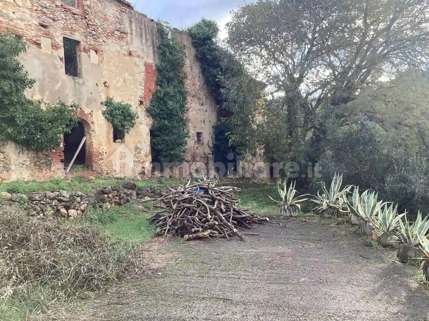 Rustico - Casale - foto 4