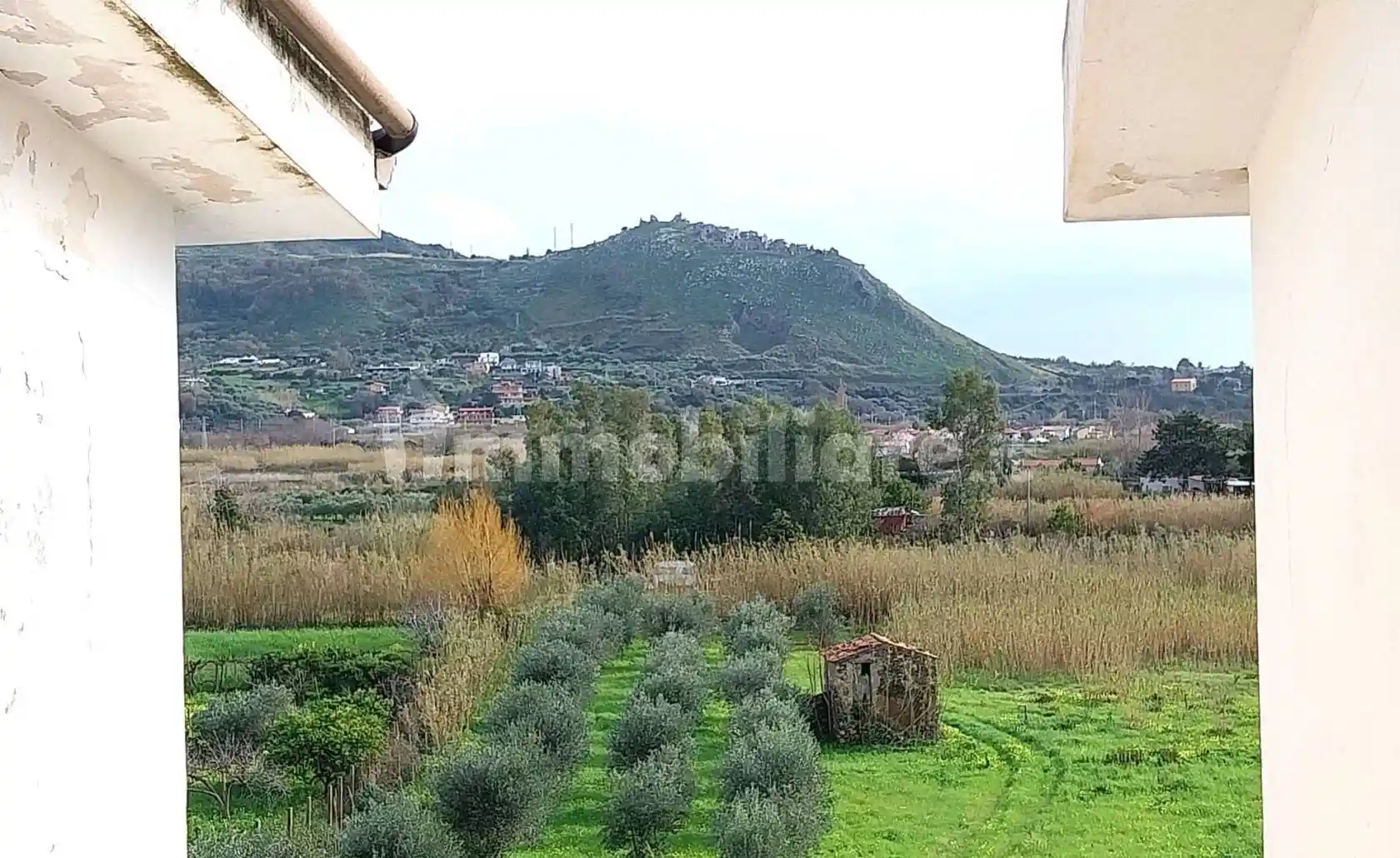 Appartamento in vendita a Grisolia