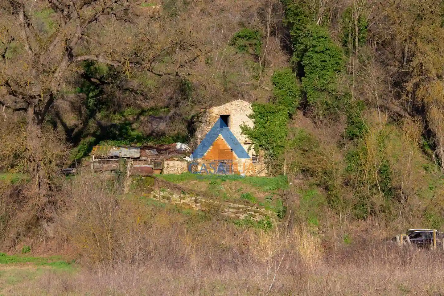 Rustico - Casale - foto 5