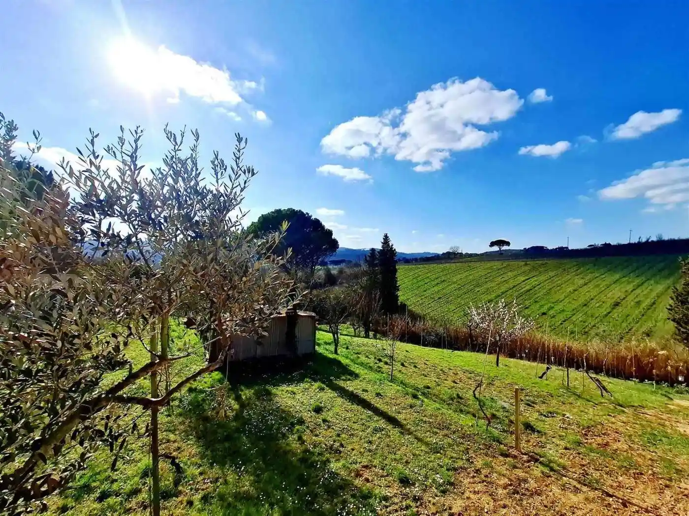 Villa in vendita a Lastra a Signa