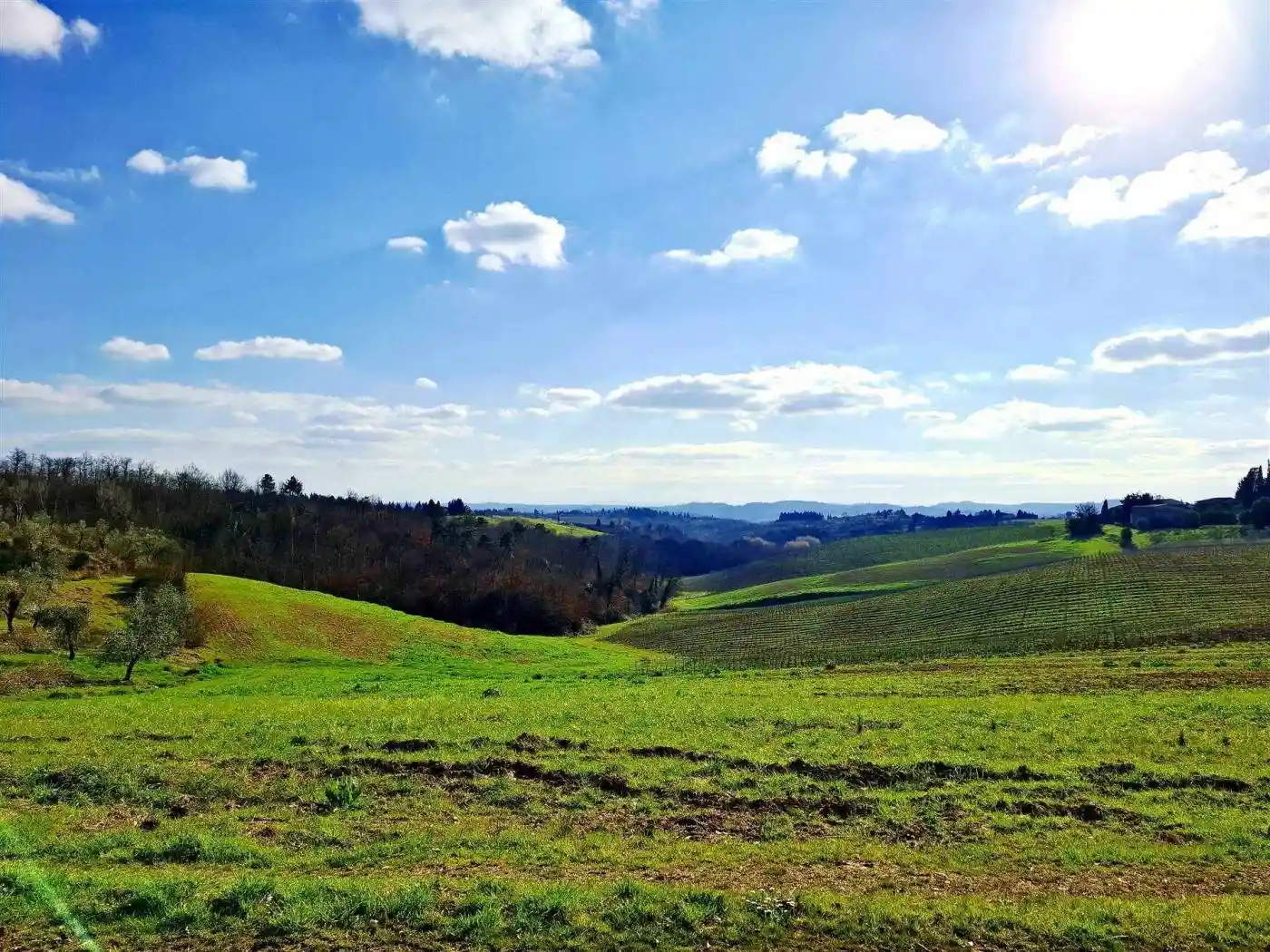 Villa in vendita a Lastra a Signa