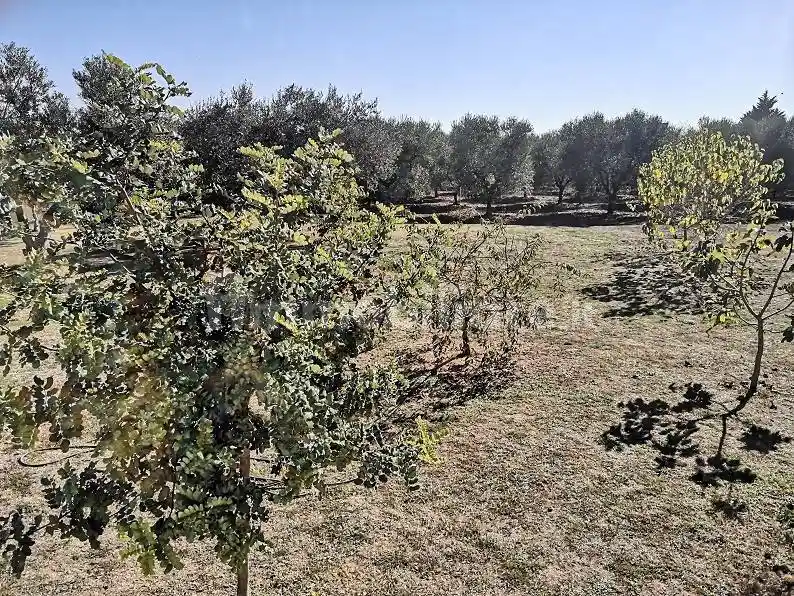 Rustico - Casale in vendita a Gioia del Colle