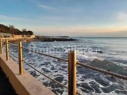 Appartamento in affitto a Rosignano Marittimo