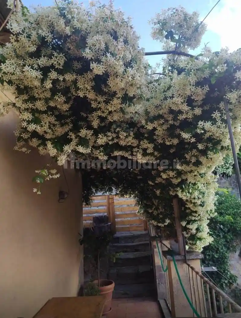 Appartamento in affitto a Tuscania