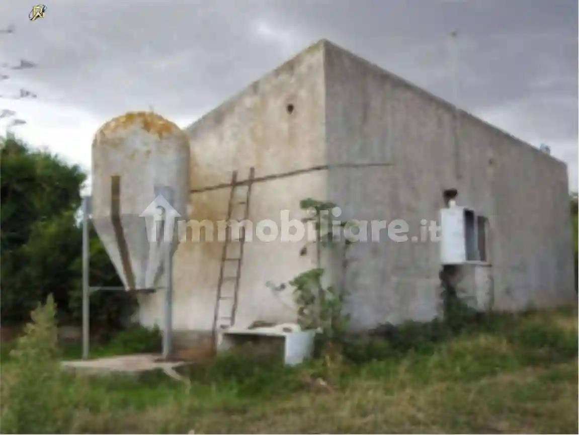 Palazzo - Stabile - foto 4