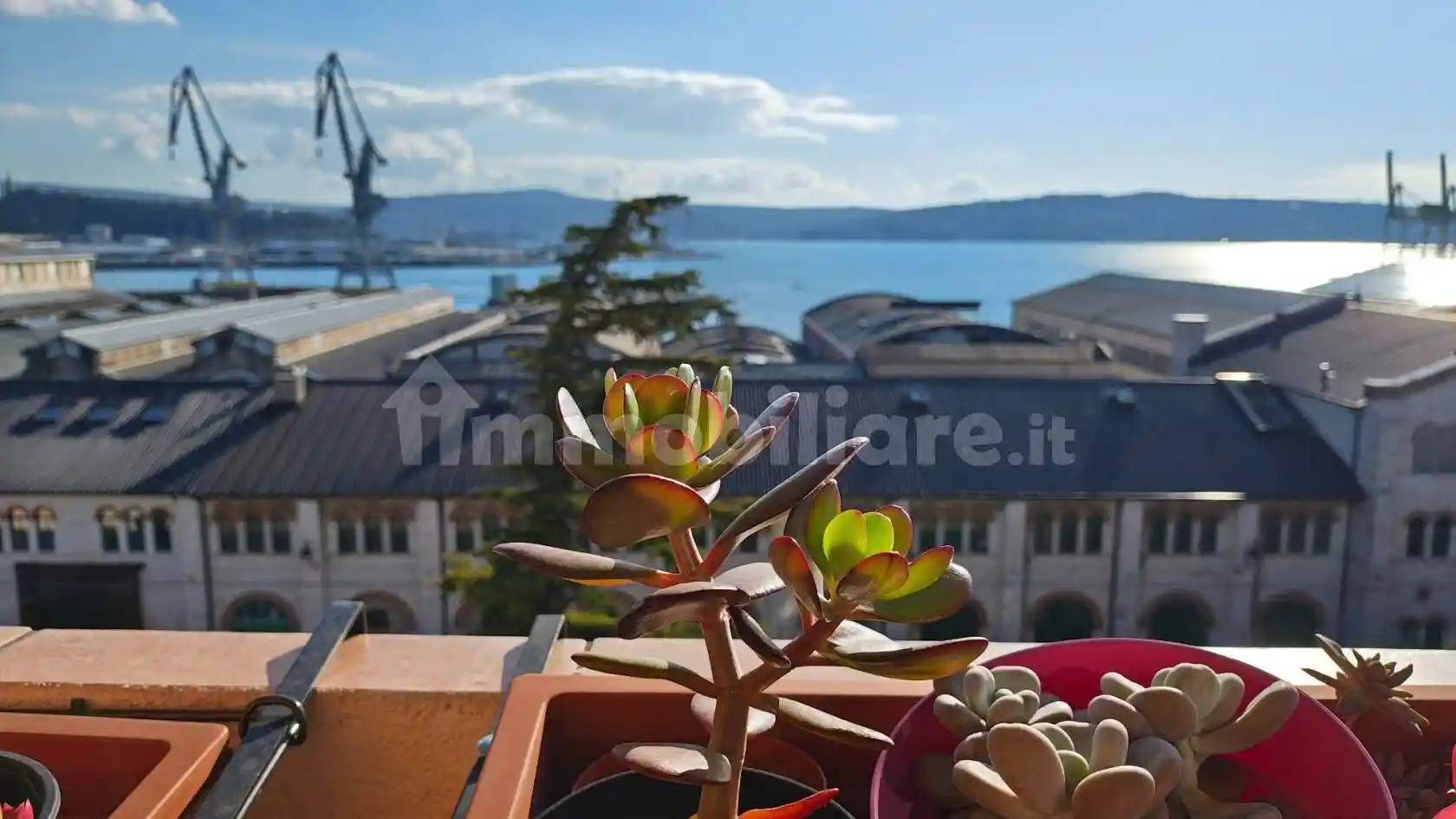 Appartamento in vendita a Trieste