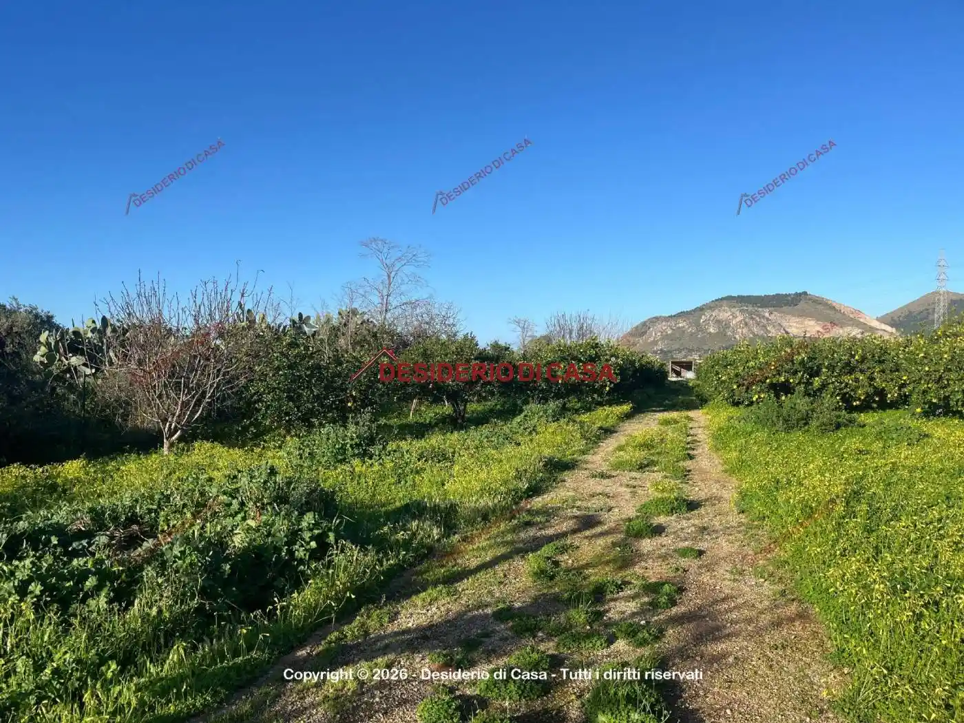 Rustico - Casale in vendita a Bagheria