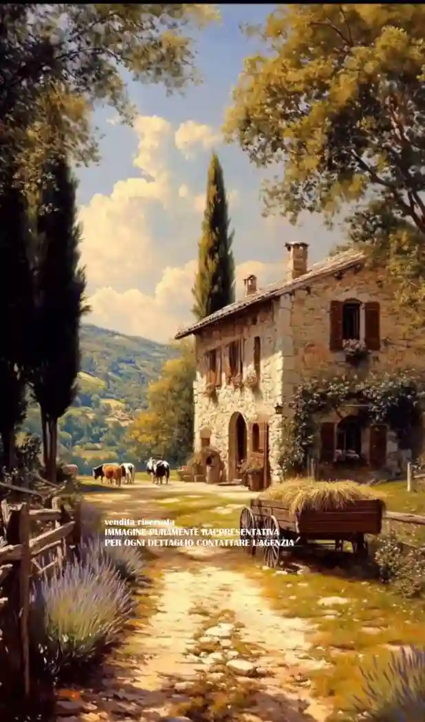 Rustico - Casale - foto 2