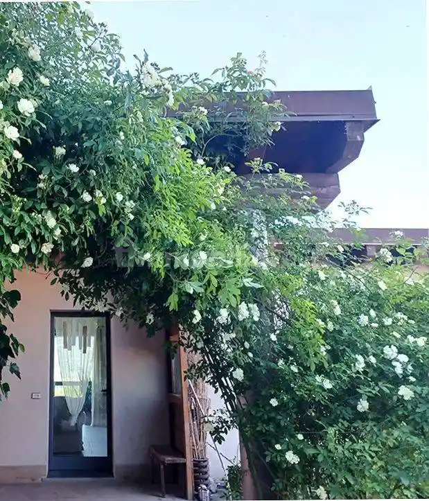 Villa in vendita a Serramazzoni